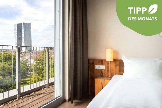 mainhaus Stadthotel Frankfurt Zimmer Tipp des Monats  mainhaus Stadthotel Frankfurt