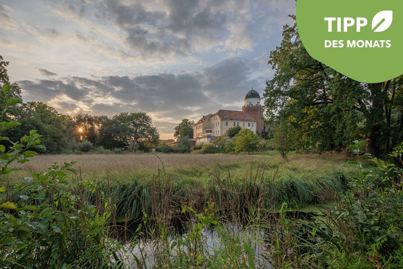 adead burghotel tipp des monats  ahead burghotel