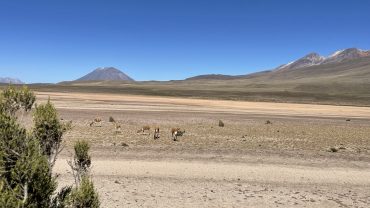 Mirador de los Andes 3