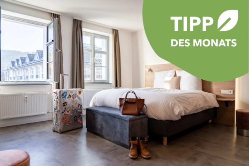 Coucou Hotel Tipp des Monats  Coucou Hotel