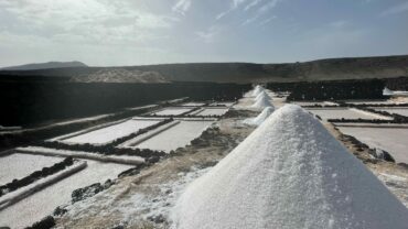 Janubio Salt Flats 2