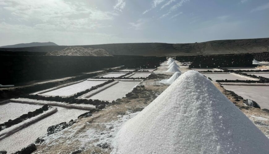 Janubio Salt Flats 2