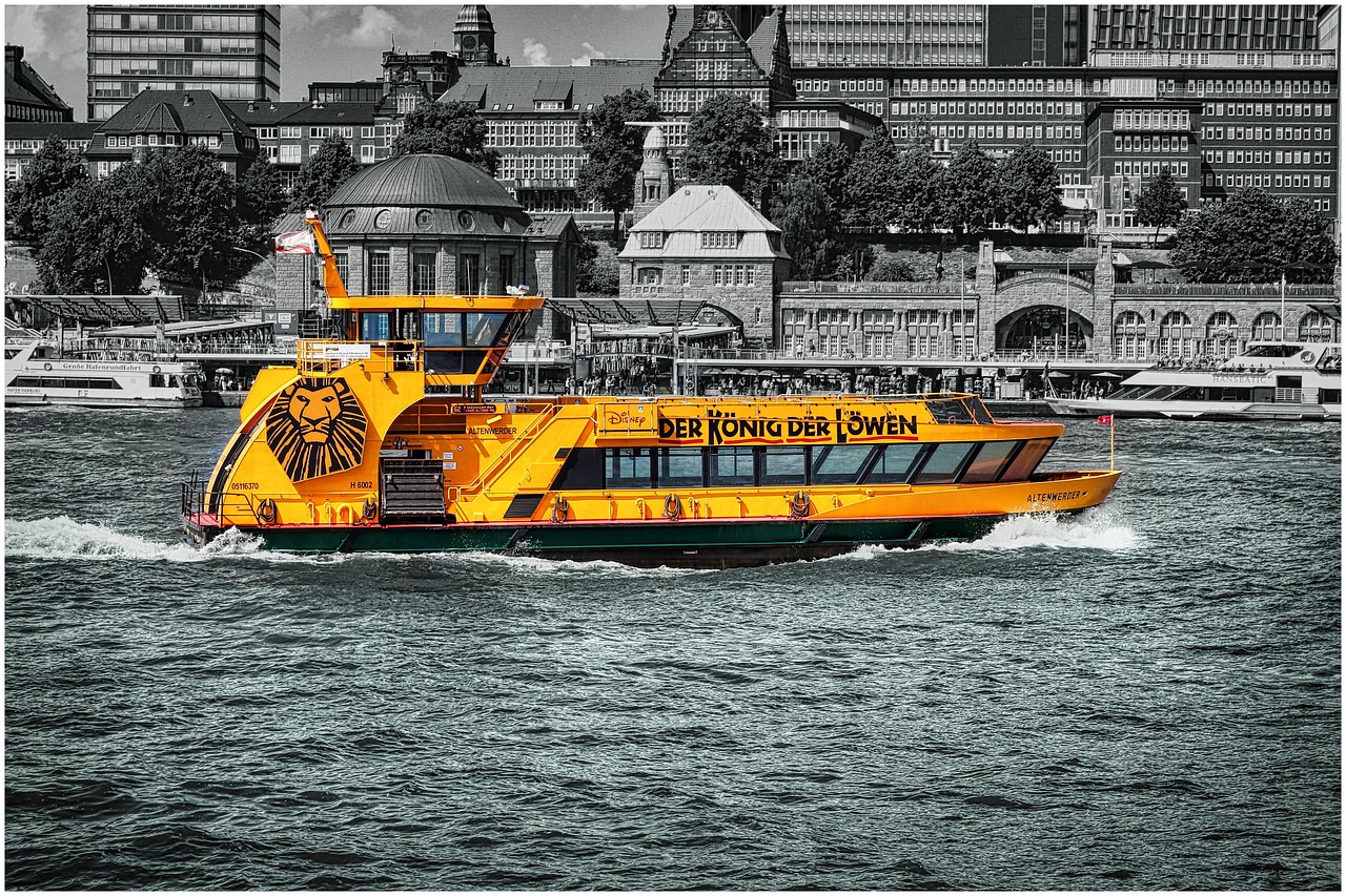 Shuttle Hamburg König der Löwen