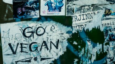 verschiedene-plakate-und-vandalen-an-der-wand-SHF82wjV8oQ