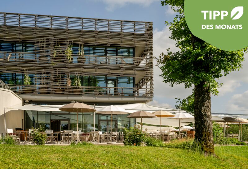 Seezeitlodge Hotel Spa Aussenansicht tipp des monats  Guenter Standl