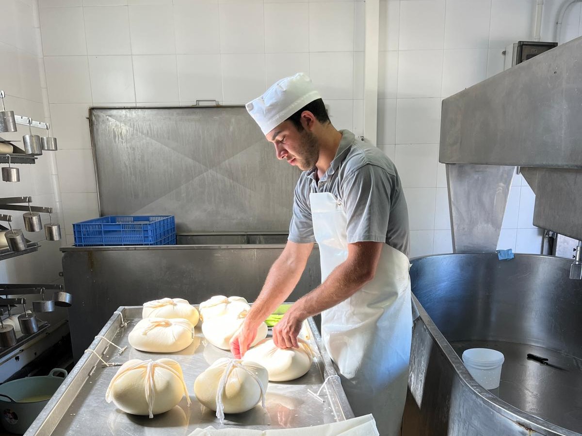 Käserei Son Piris Herstellung Charly