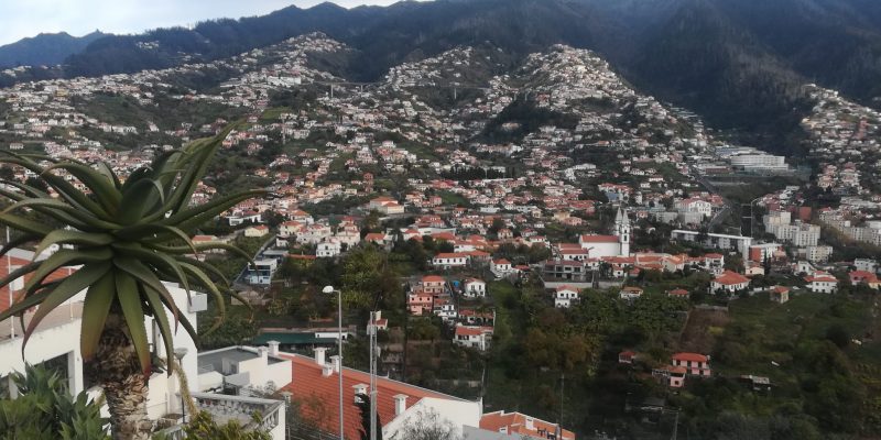 Madeira-Blick auf Funchal-Eva-2020