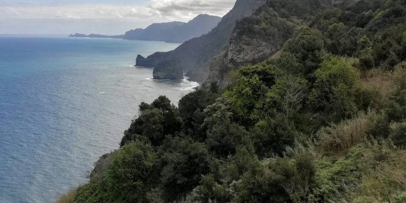 Madeira-Grüne Küste-Eva-2020