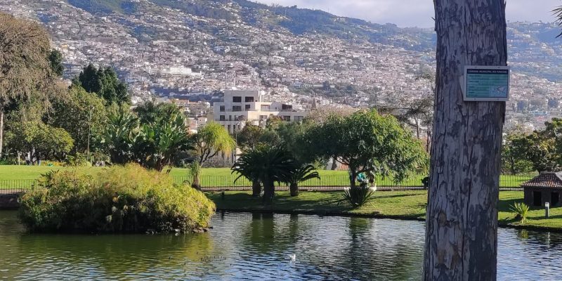 Madeira-Stadtpark über der City-Eva