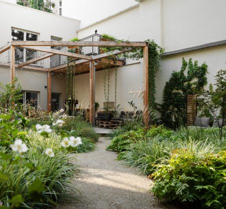 Urban Jungle Apartments