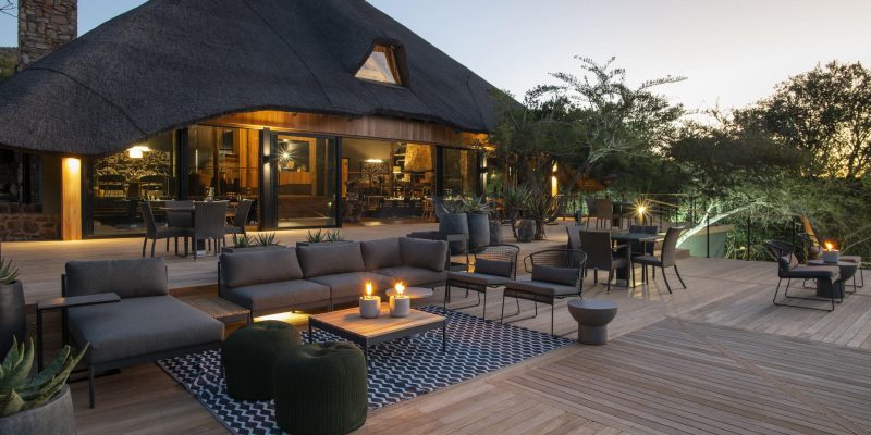 Bayethe on Shamwari Private Game Reserve ©