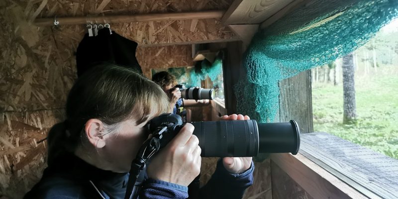 Bärenhütte Innen